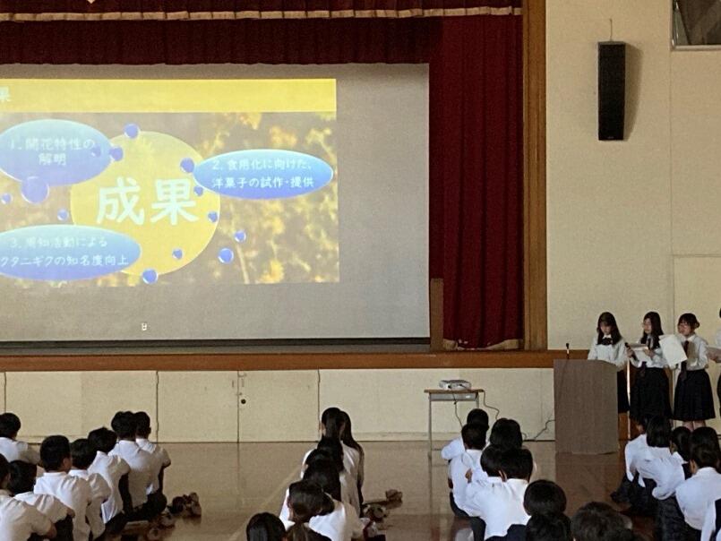 京都府立桂高等学校 | 学科紹介 : 専門学科ブログ